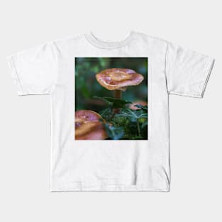 Beautiful watery mushrooms in a bed of green muss in a forest. Kids T-Shirt